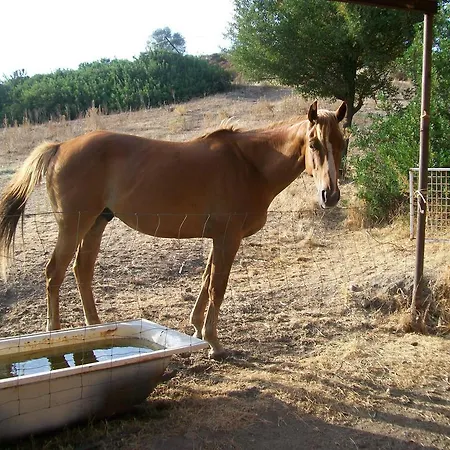 Farris Massimo Lantgård Perfugas